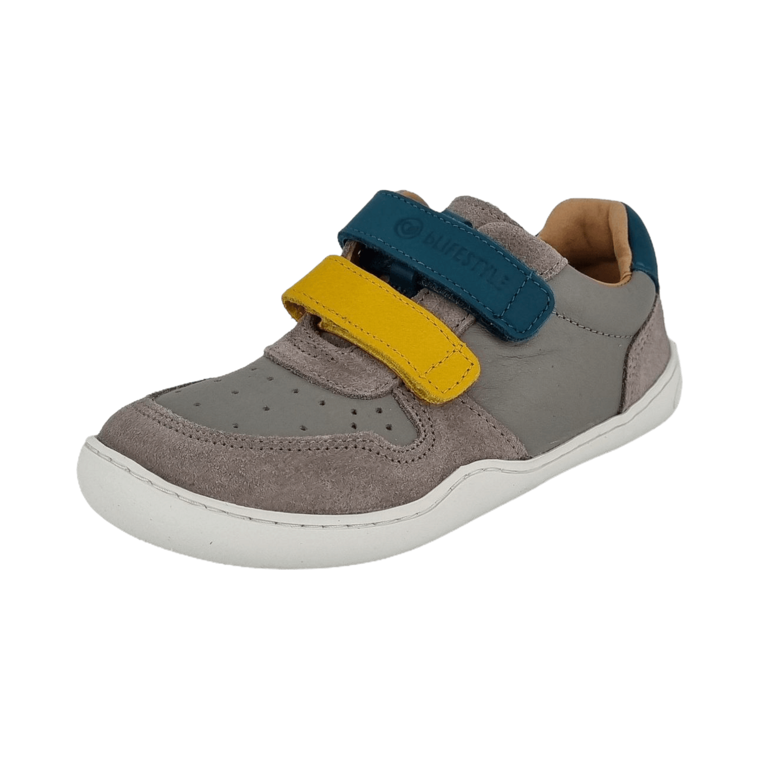 bLIFESTYLE Anura