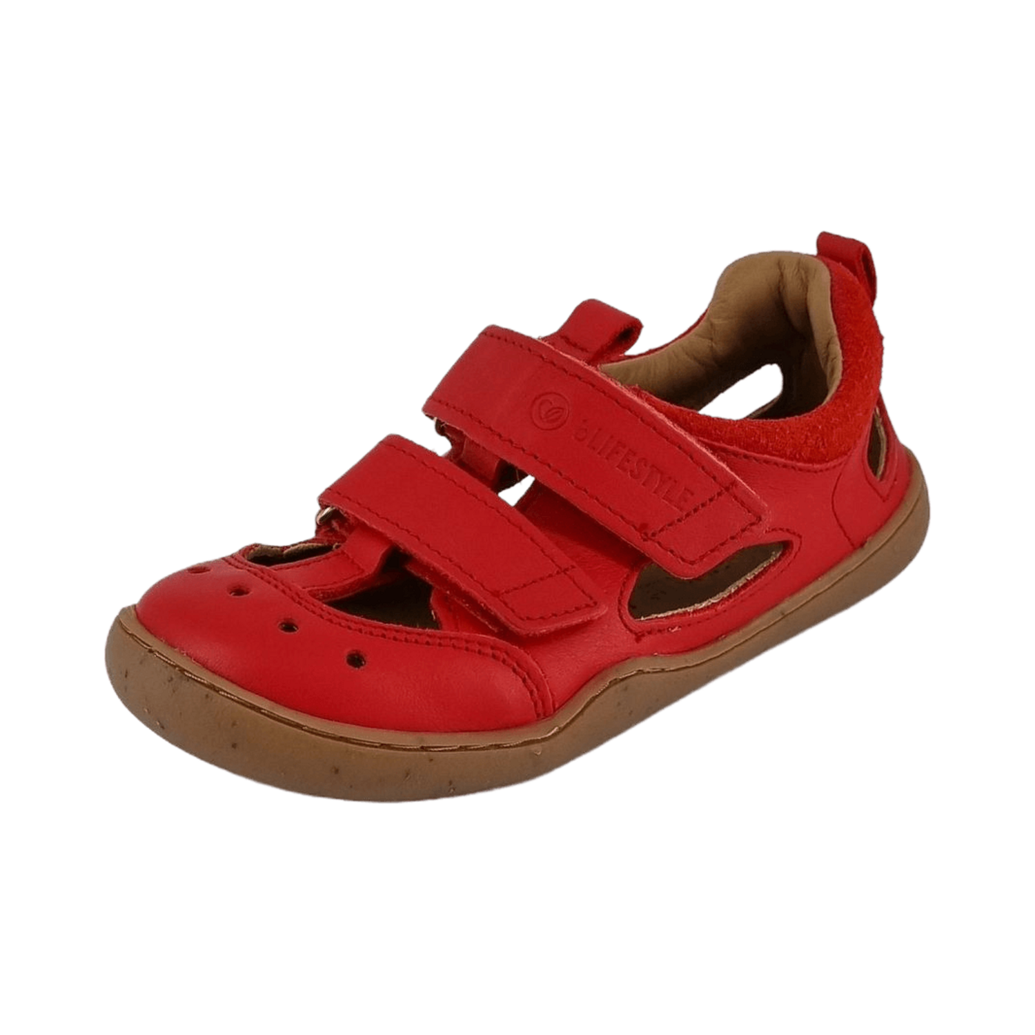 bLIFESTYLE Salamandra