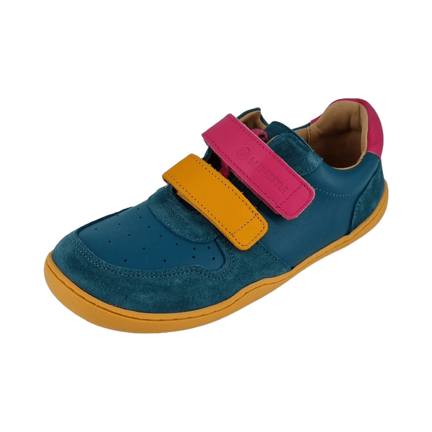 bLIFESTYLE Anura