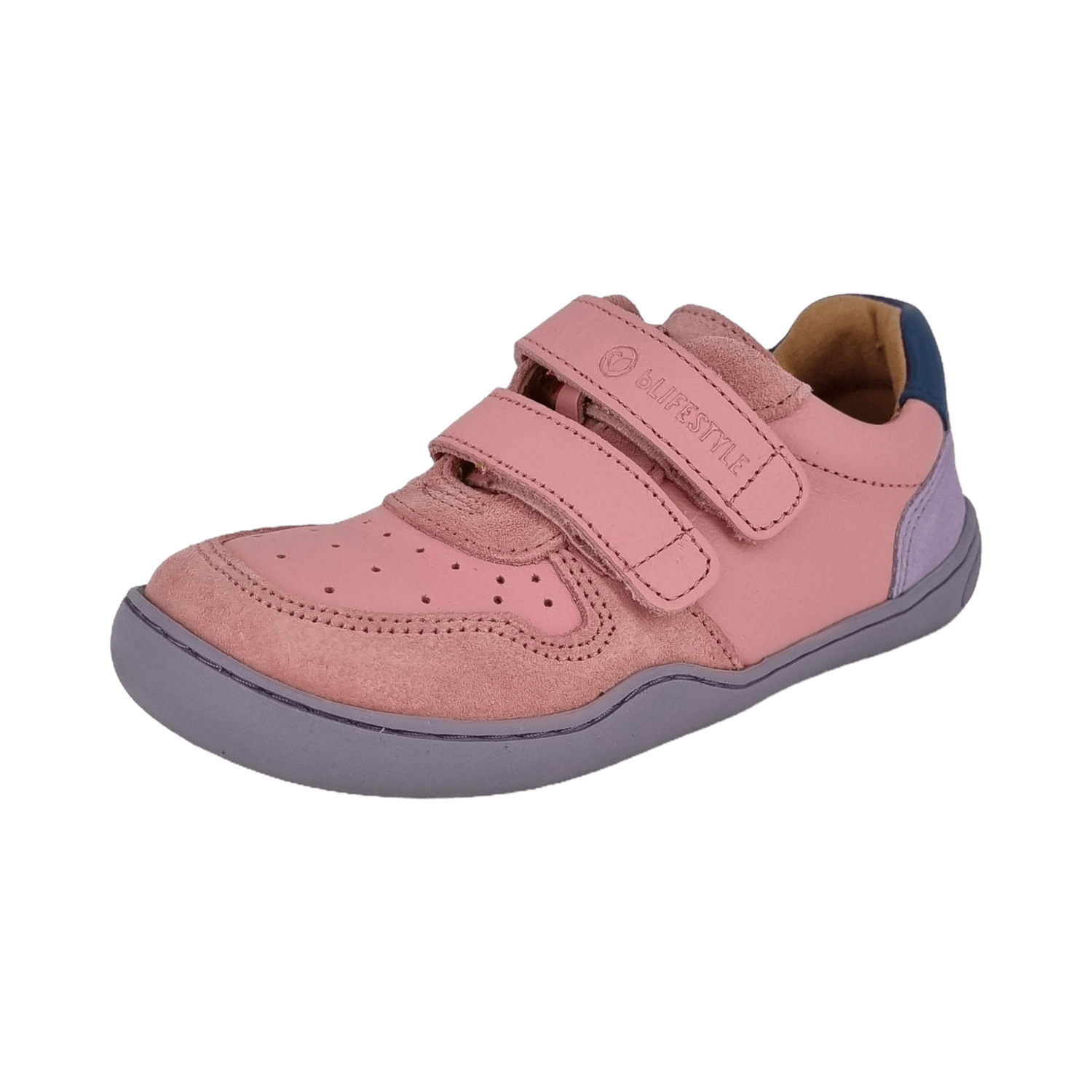 bLIFESTYLE Anura